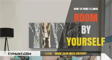 Master Solo Room Painting: Tips for Tackling Large Spaces Effortlessly