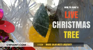 Festive DIY: Painting a Live Christmas Tree for Holiday Magic