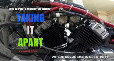 Painting Your Motorcycle? Leave It Intact!