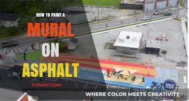 Transforming Streets: A Step-by-Step Guide to Painting Asphalt Murals