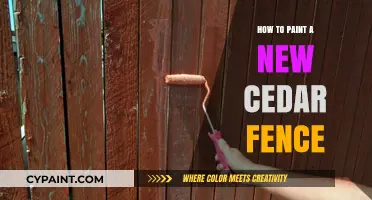 Mastering the Art of Painting Your New Cedar Fence: A Step-by-Step Guide