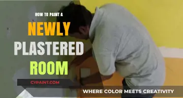 Mastering the Art: Painting a Newly Plastered Room Step-by-Step