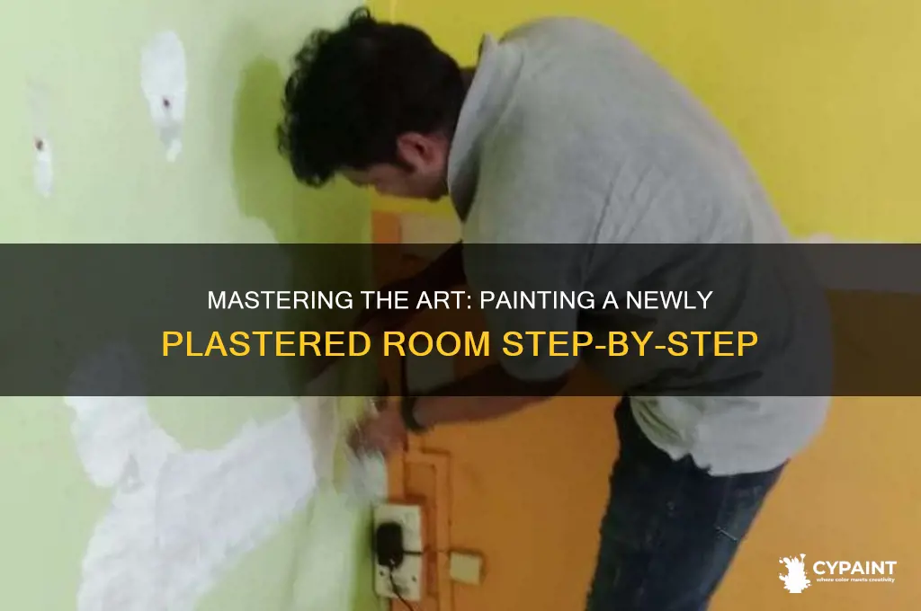 how to paint a newly plastered room