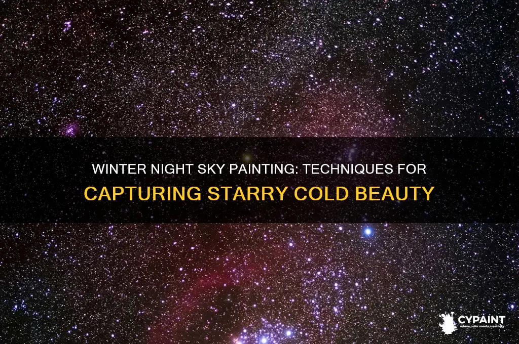 how to paint a night sky in winter