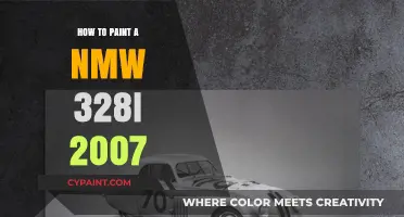 Step-by-Step Guide to Painting Your 2007 BMW 328i Like a Pro