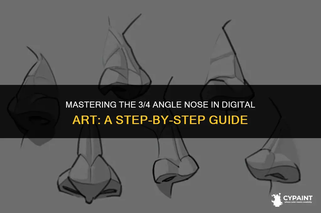 how to paint a nose 3 4 angle digital art