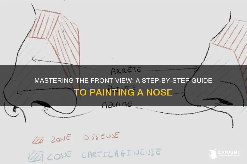 how to paint a nose front view