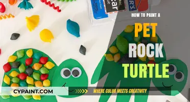 Creative Pet Rock Turtle Painting: Easy DIY Guide for Beginners