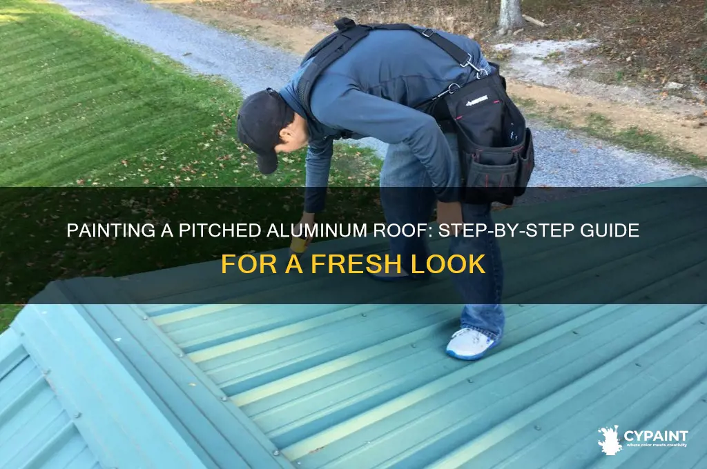 how to paint a pitched aluminum roof