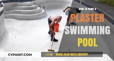 Mastering Plaster Pool Painting: A Step-by-Step DIY Guide