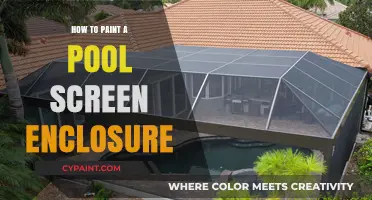 Revitalize Your Pool Area: A Guide to Painting Screen Enclosures