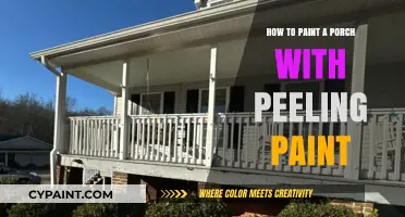Revive Your Porch: A Step-by-Step Guide to Painting Over Peeling Paint