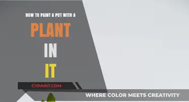 Creative Plant Pot Painting: A Step-by-Step Guide