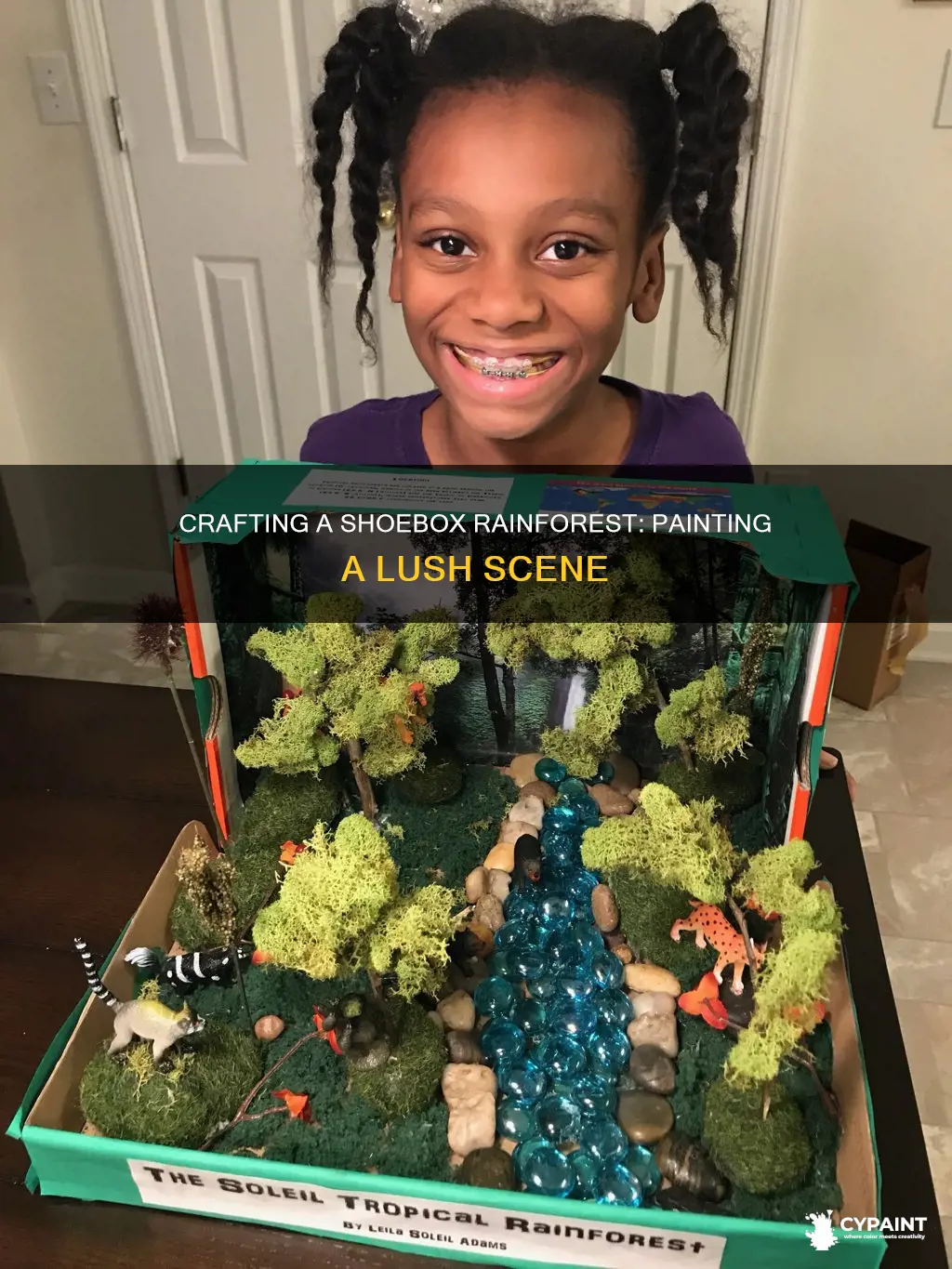 how to paint a rainforest theme on a shoebox