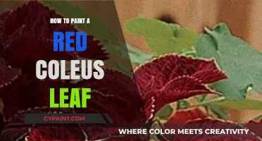 Mastering the Art of Painting a Vibrant Red Coleus Leaf