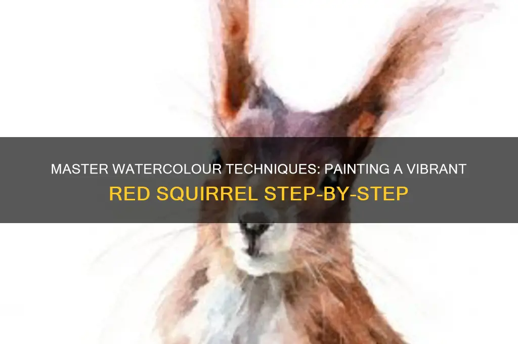 how to paint a red squirrel in watercolour