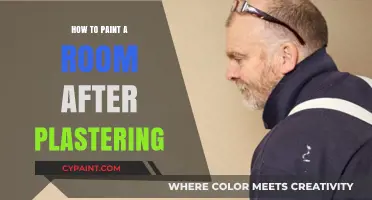 Mastering Room Painting: Essential Steps After Plastering for a Flawless Finish
