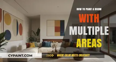 Mastering Multi-Area Room Painting: Tips for Seamless Color Transitions