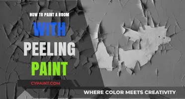 Revive Your Walls: A Guide to Painting Over Peeling Paint