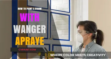 Master Room Painting with a Wagner Spray Gun: Easy Steps