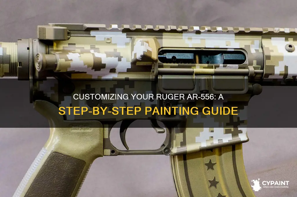 how to paint a ruger ar 556