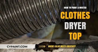Revive Your Rusted Dryer: A Step-by-Step Painting Guide