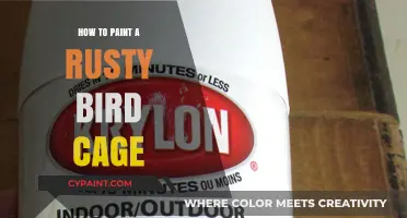 Revive Your Rusty Bird Cage: A Step-by-Step Painting Guide
