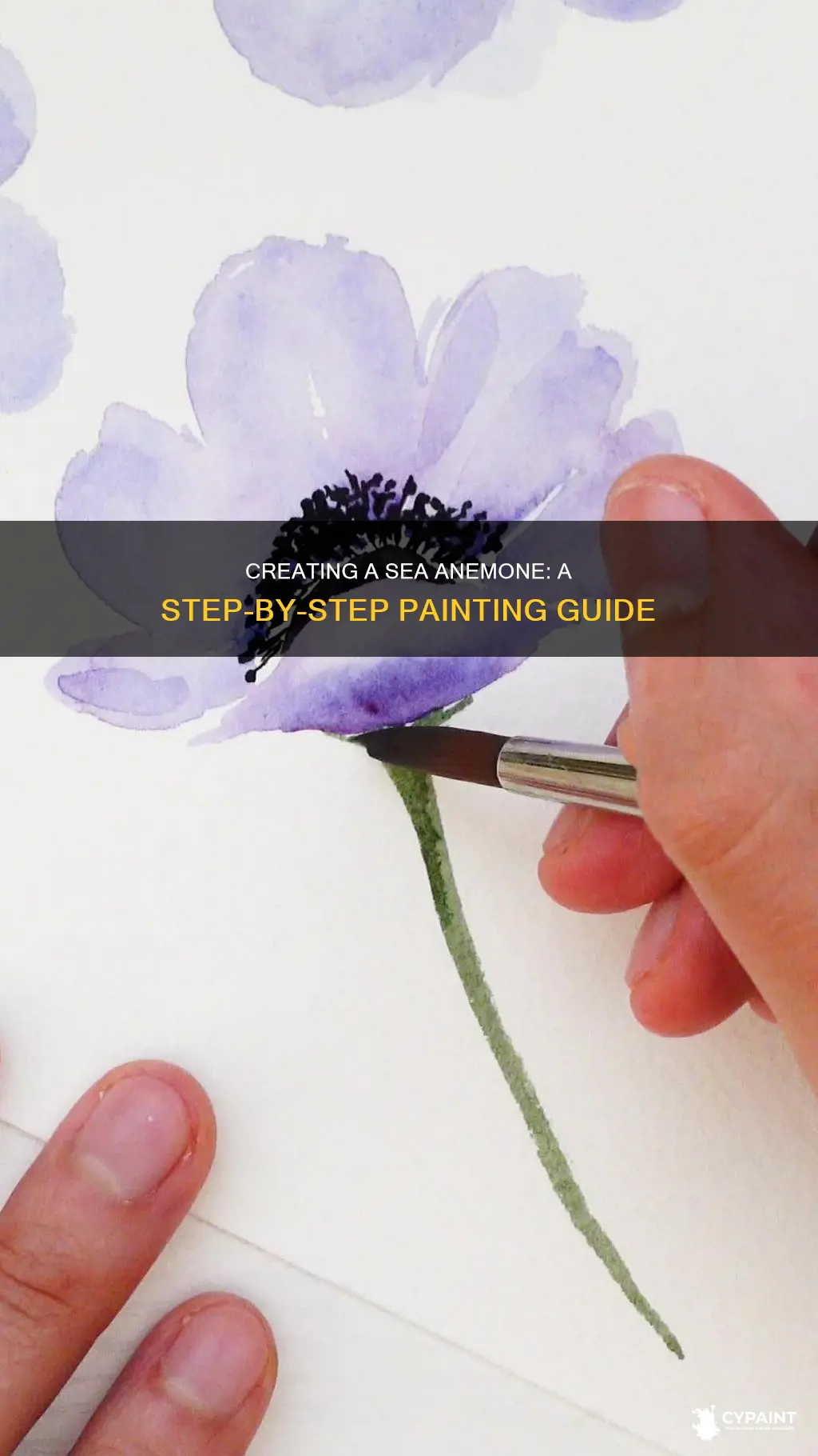 how to paint a sea anemone step by step