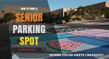 Creative Tips for Painting a Unique Senior Parking Spot Design