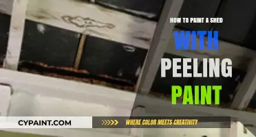 Revive Your Shed: A Guide to Painting Over Peeling Paint