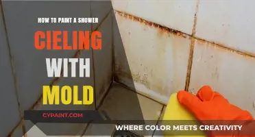 Effective Tips for Painting a Moldy Shower Ceiling Safely