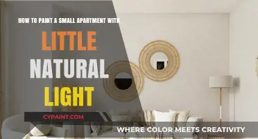 Brightening Up: Tips for Painting a Small, Light-Limited Apartment