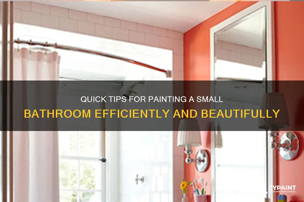 how to paint a small bathroom fast