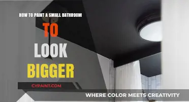 Expand Your Small Bathroom with These Painting Tricks