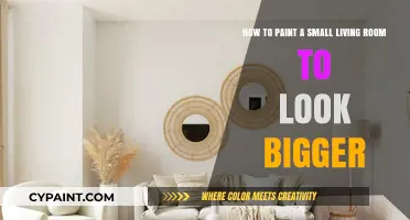 Transform Your Space: Painting Tips to Enlarge a Small Living Room