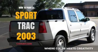 DIY Guide: Painting Your 2003 Sport Trac Like a Pro