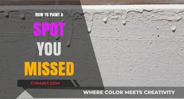 Fixing Paint Oversights: Tips to Seamlessly Cover Missed Spots
