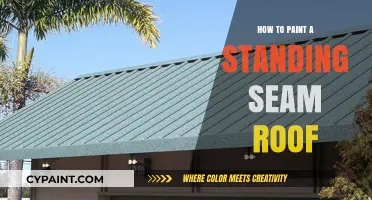 Mastering the Art of Painting Your Standing Seam Roof: A Guide