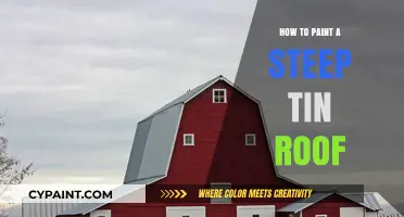 Mastering the Art of Painting a Steep Tin Roof Safely