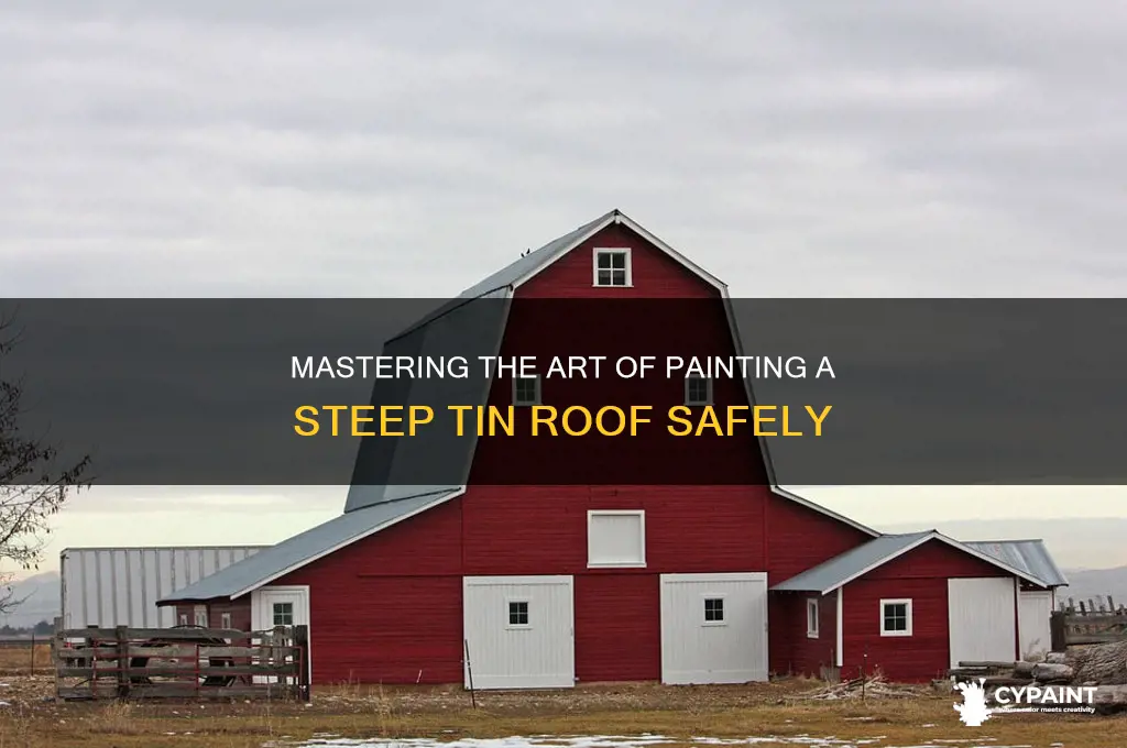 how to paint a steep tin roof