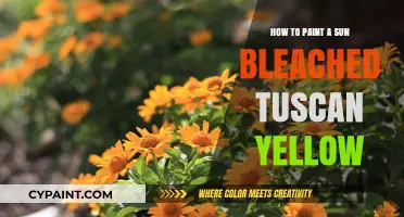 Mastering Sun-Bleached Tuscan Yellow: Techniques for Authentic, Weathered Charm