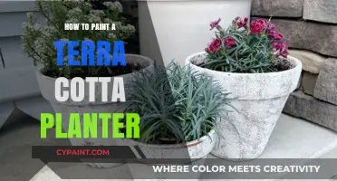 Easy Steps to Paint a Terra Cotta Planter for Beginners