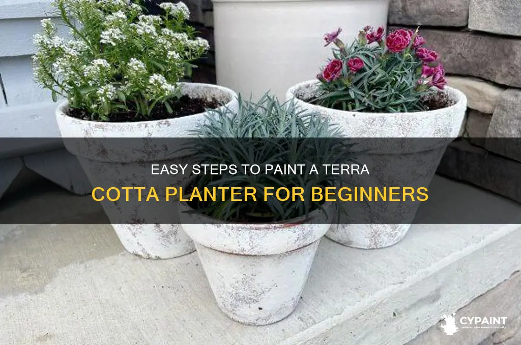 how to paint a terra cotta planter