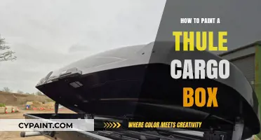 DIY Guide: Painting Your Thule Cargo Box for a Fresh Look