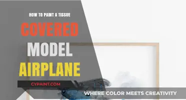 Mastering Tissue-Covered Model Airplanes: A Step-by-Step Painting Guide