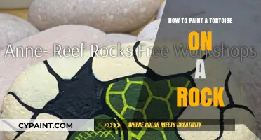 Creative Rock Painting: Step-by-Step Guide to Painting a Tortoise