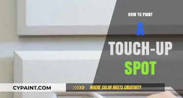 Mastering Touch-Up Painting: Tips for Seamless Spot Repairs
