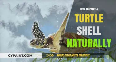 Natural Turtle Shell Painting: Eco-Friendly Techniques for Vibrant, Authentic Results