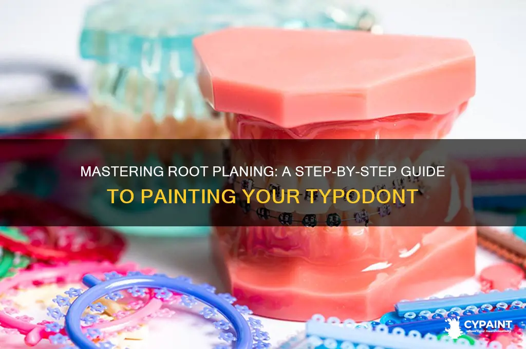 how to paint a typodont for root plannin