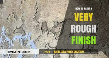 Mastering the Art of Painting a Textured, Rough Finish